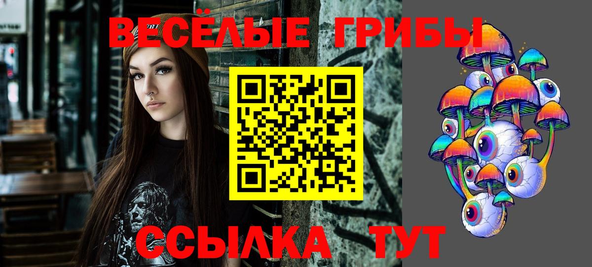 даркнет сайт  Псилоцибиновые грибы ЛСД  Галлюциногенные грибы ЛСД  Вход с VPN  Туймазы 